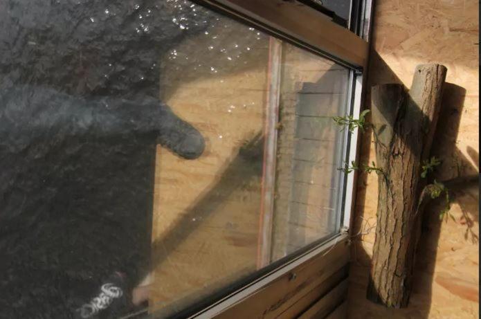 Einzigartiges 140Qm Loft - Party Ist Erlaubt! Apartman Berlin Kültér fotó